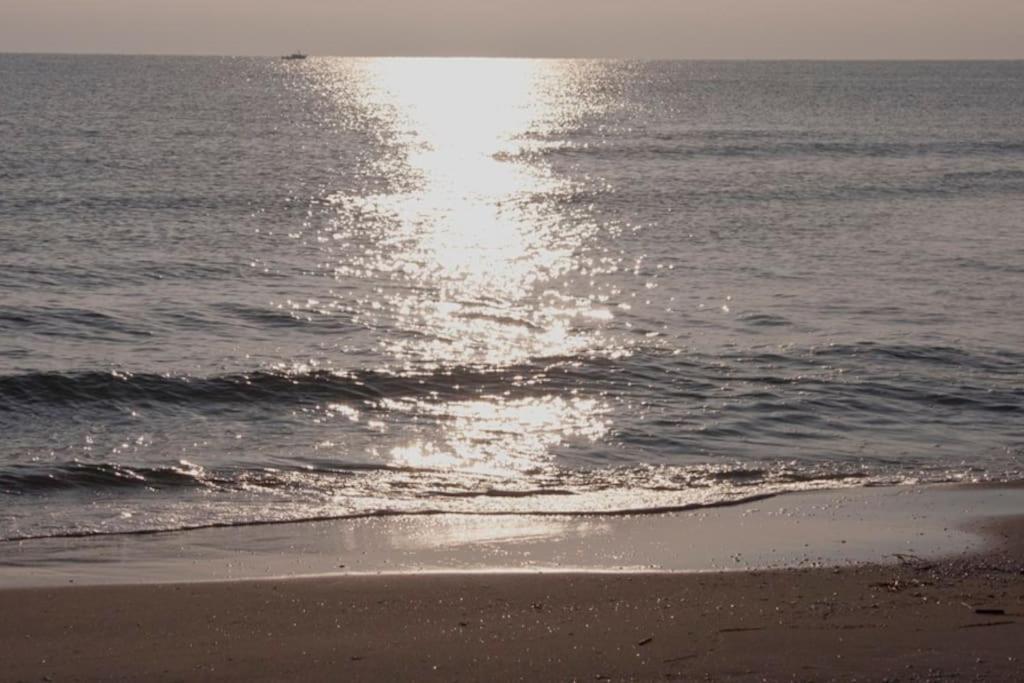 Beachfront House, Valencia, Wifi, Paddle Surf Board, Incredible Views Sueca Exterior photo